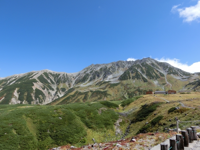 富山県　とやま　北陸　地酒　日本酒　お土産　プレゼント